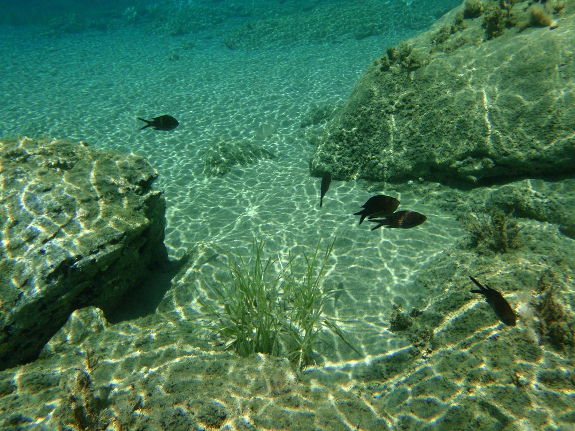 Filoxenia By Grispos Villas Schoinoussa Luaran gambar